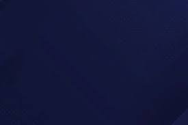 的概